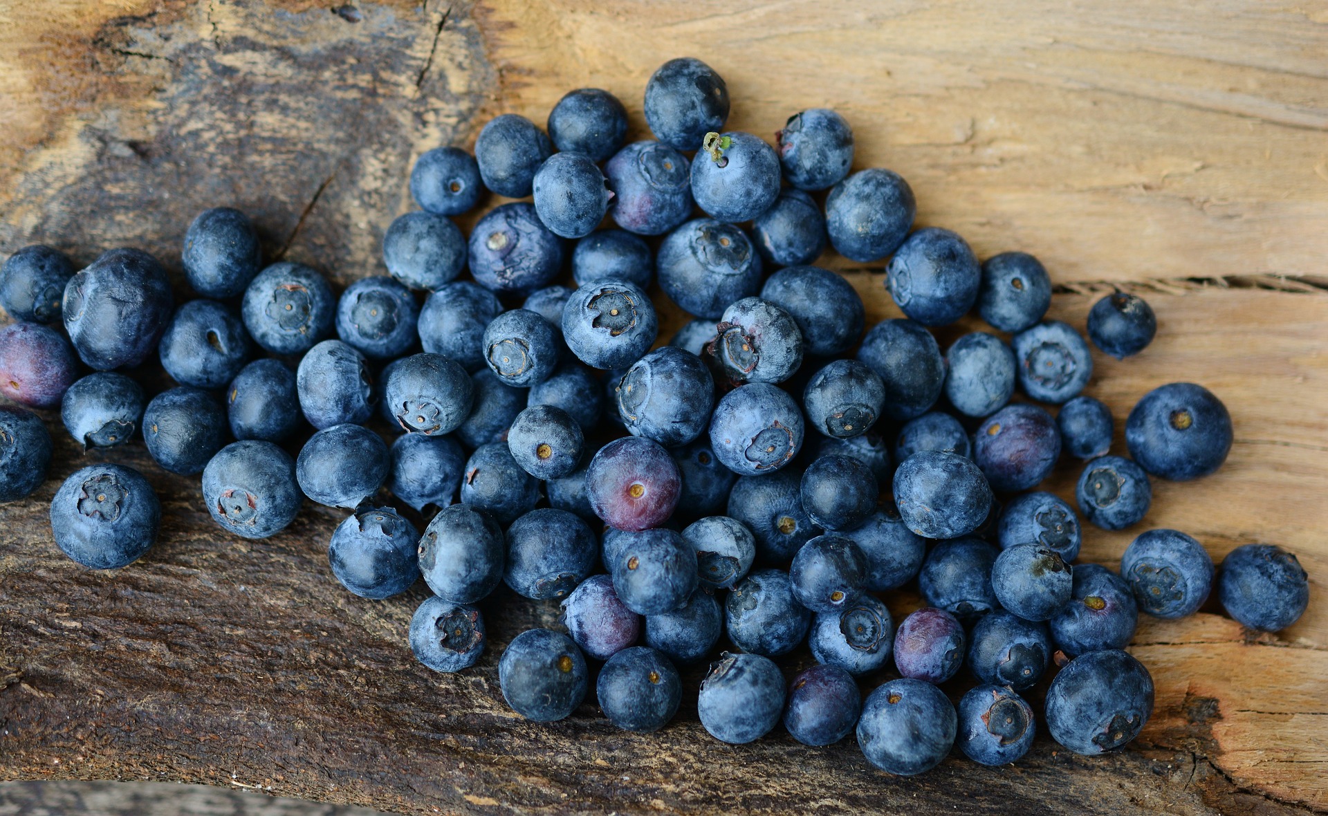 blueberries g053d95d71 1920