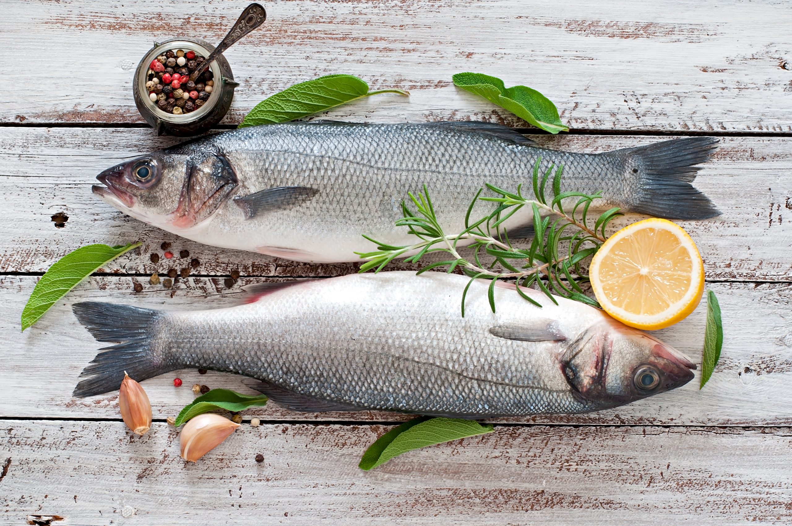 two raw seabass with spices