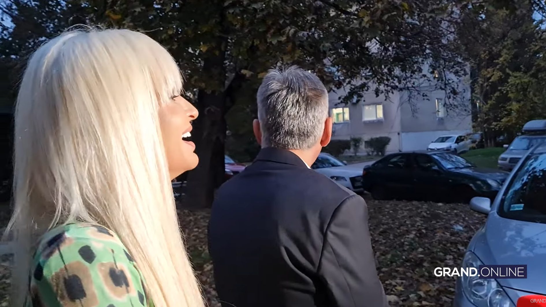 Bosanac i Dzidza