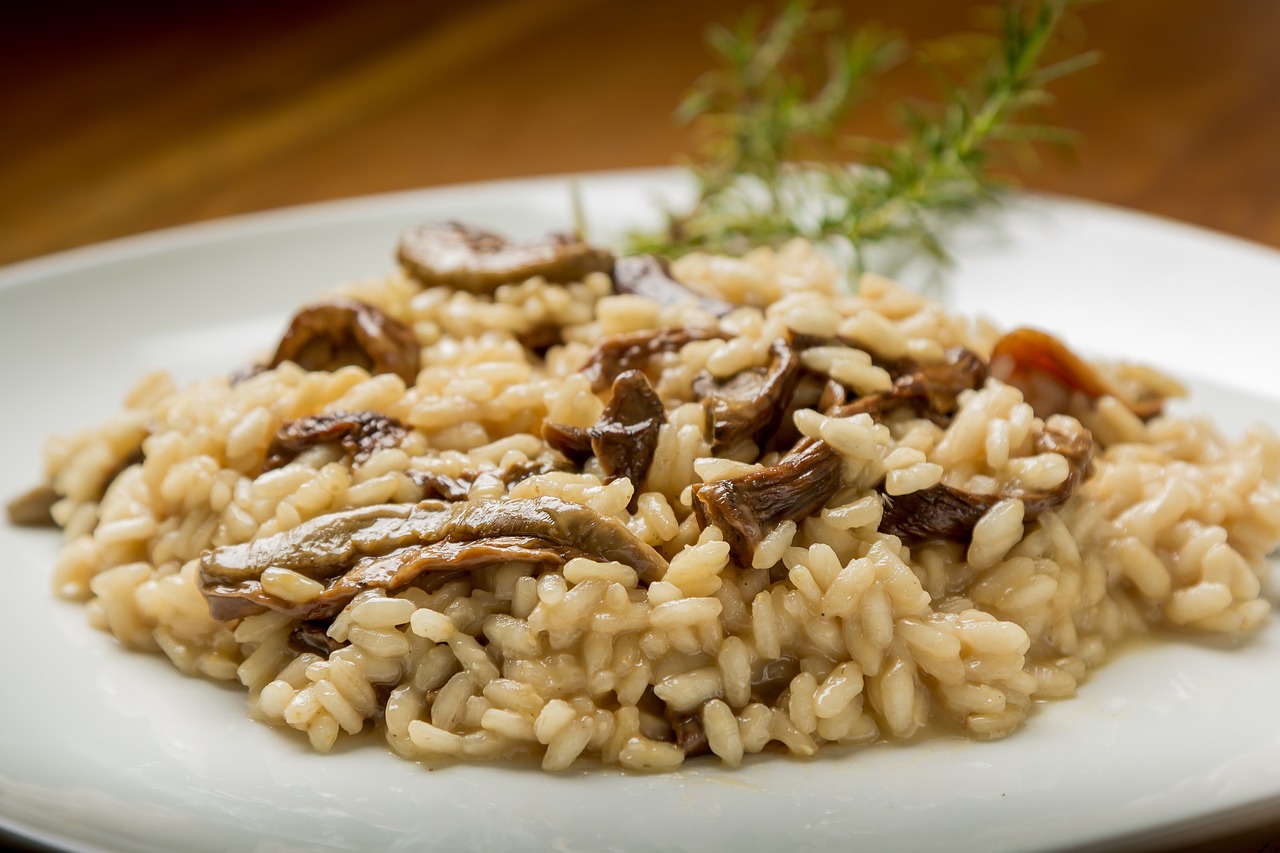 rice g6bff317d0 1280 1