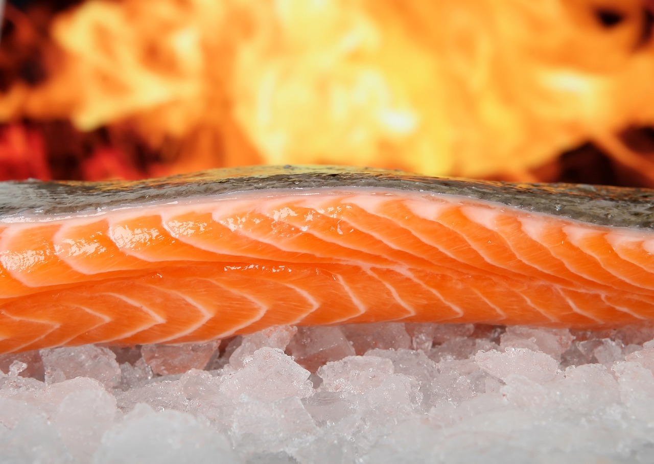 salmon g0607da476 1280