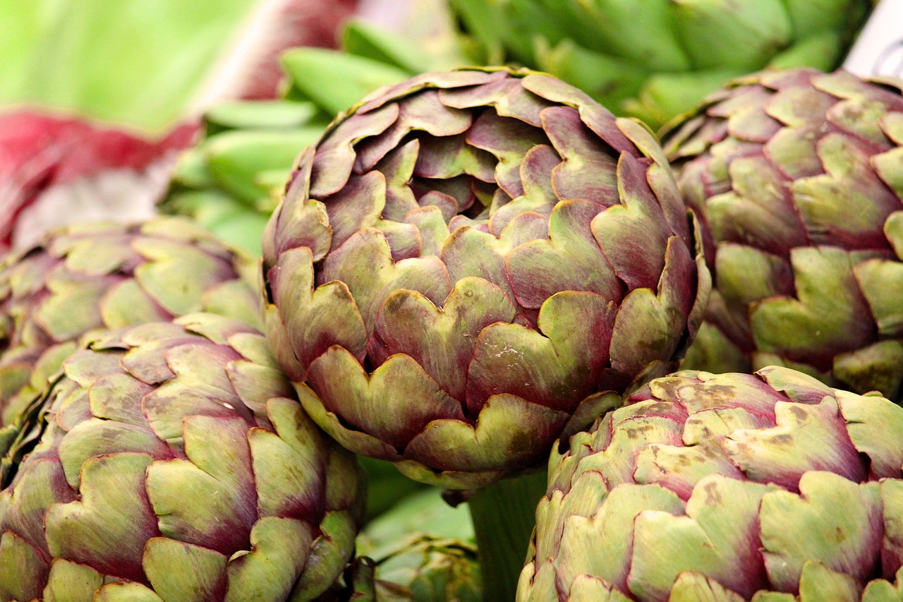 artichoke 4253464 1280