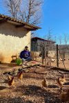 pozdrav iz Istre istra animals farm rimtimtagidim dora babylasagna cat chicken goat