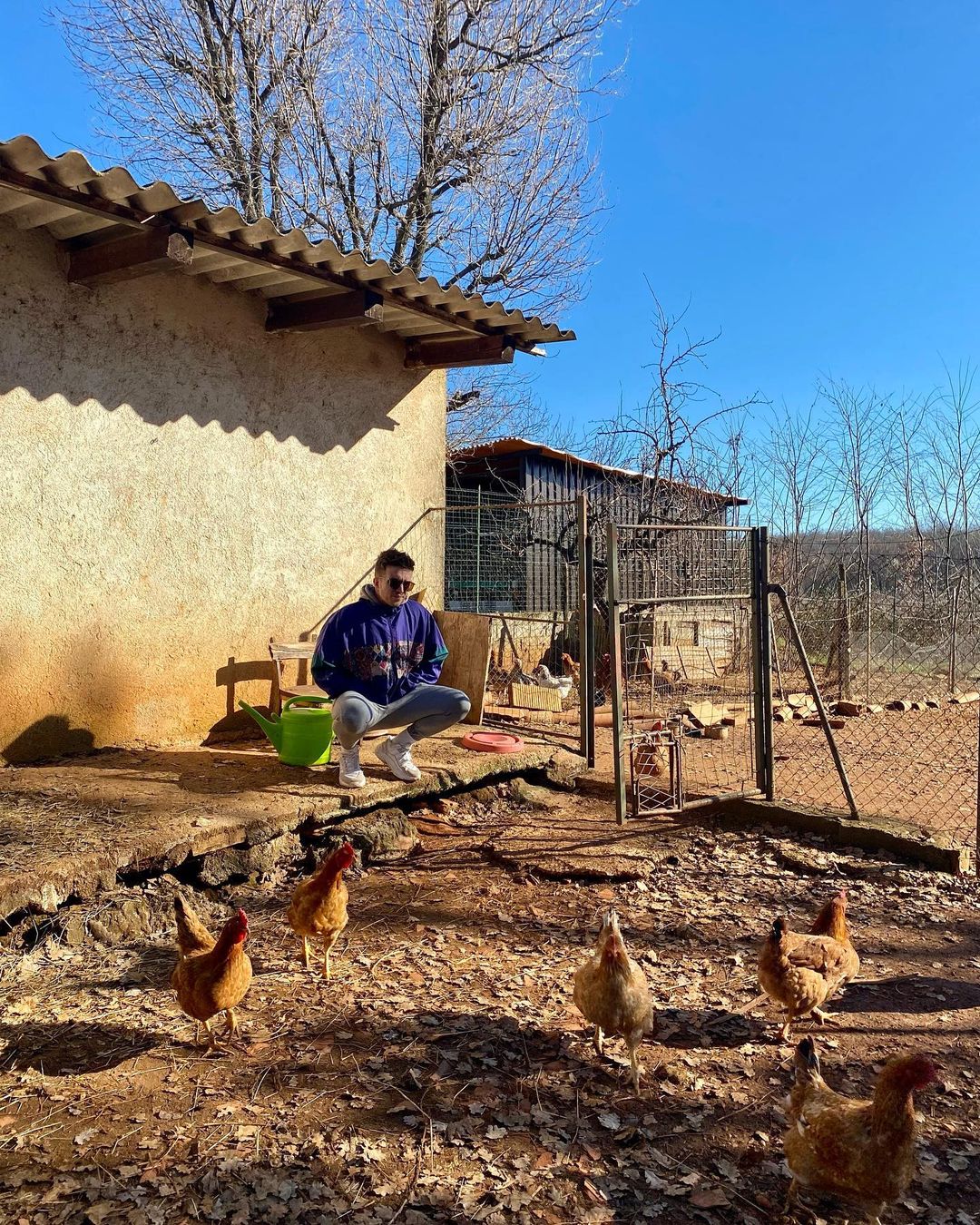pozdrav iz Istre istra animals farm rimtimtagidim dora babylasagna cat chicken goat