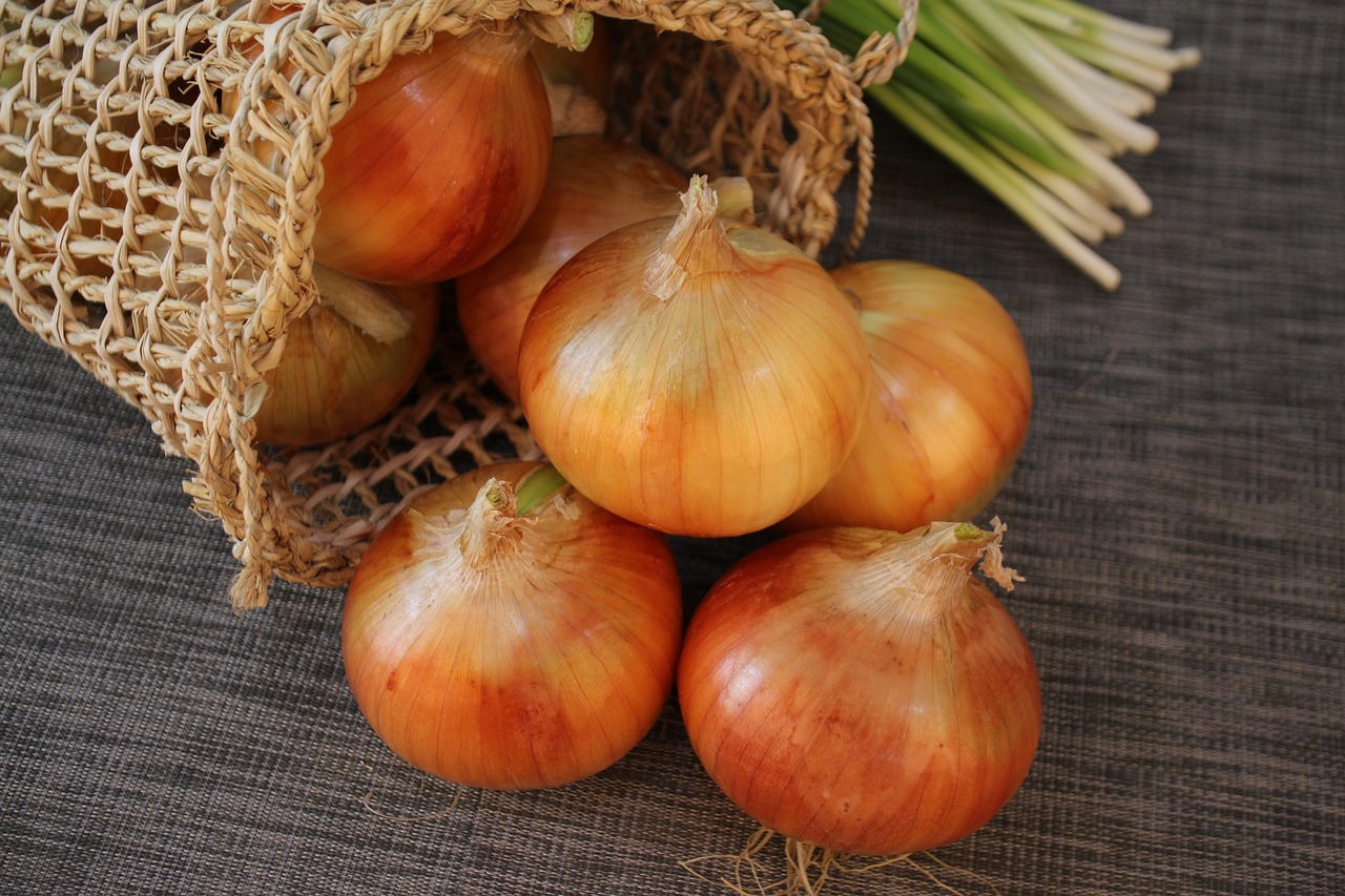 onion 2404583 1280