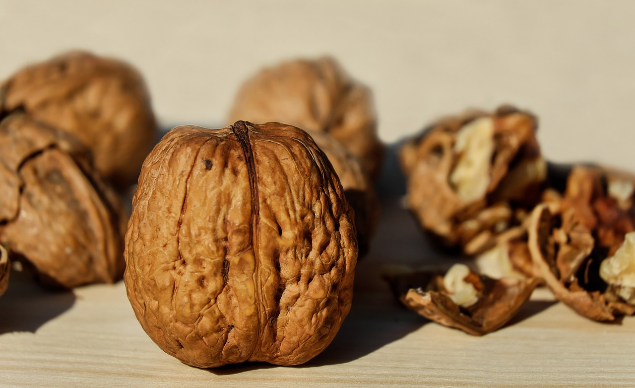 walnuts 1739021 1280
