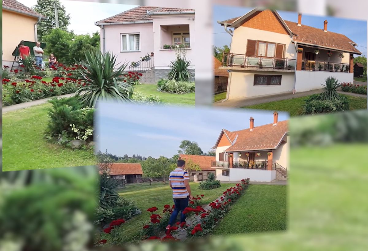 kuca bojana palvovica