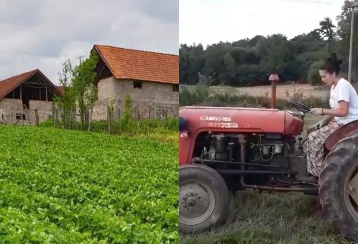 marija petronijevic imanje i farma