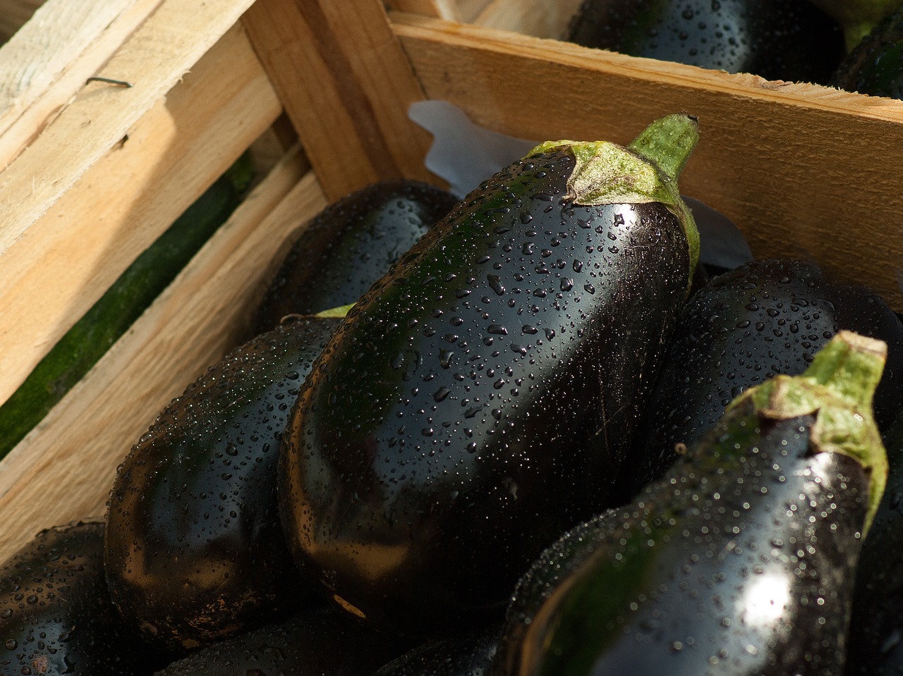 eggplants 1707629 1280