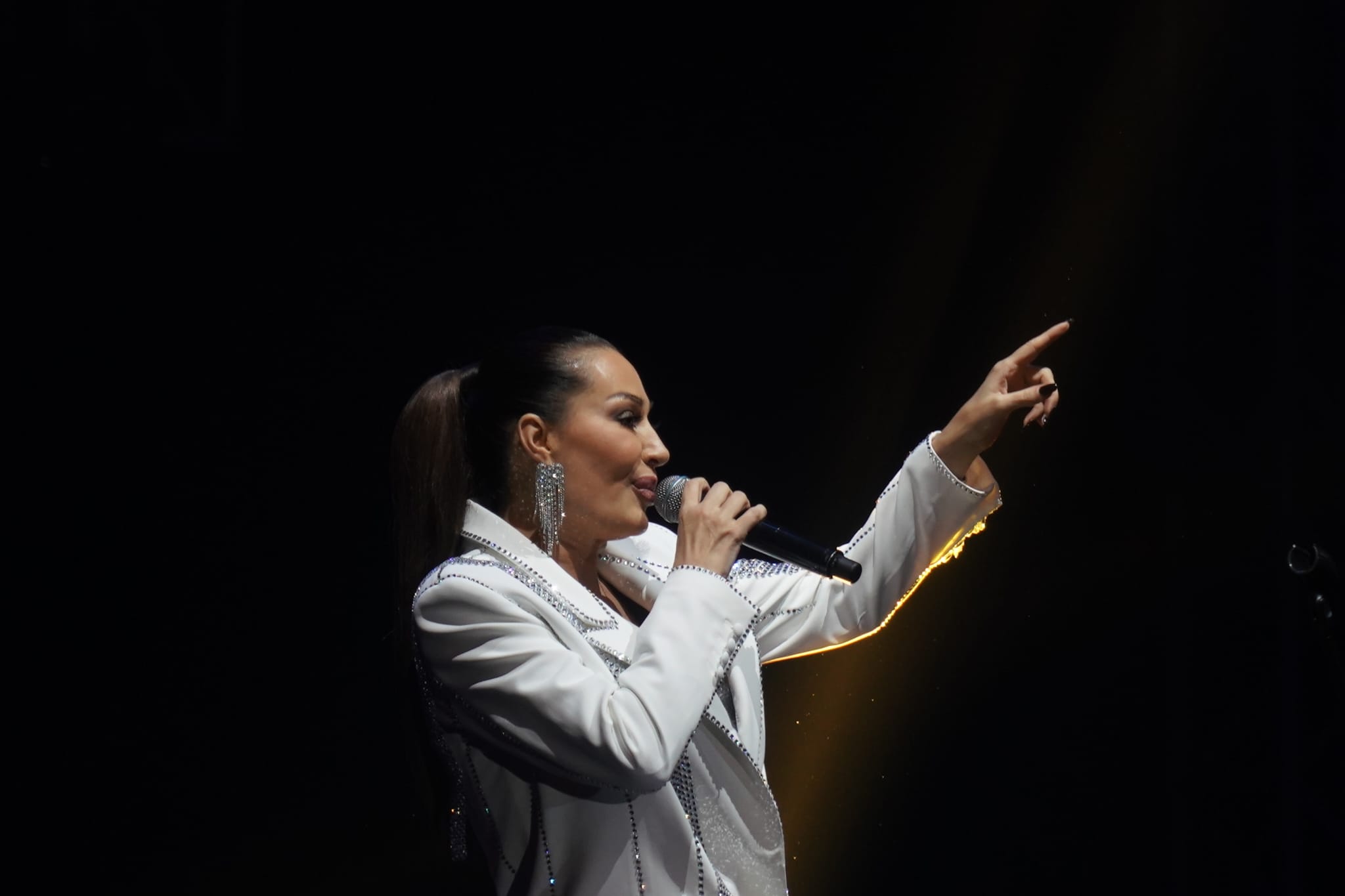 Ceca Raznatovic 5