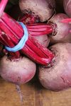 beetroot 3590359 640