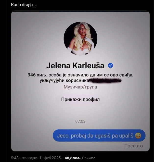 jelena karleusa instagram 1