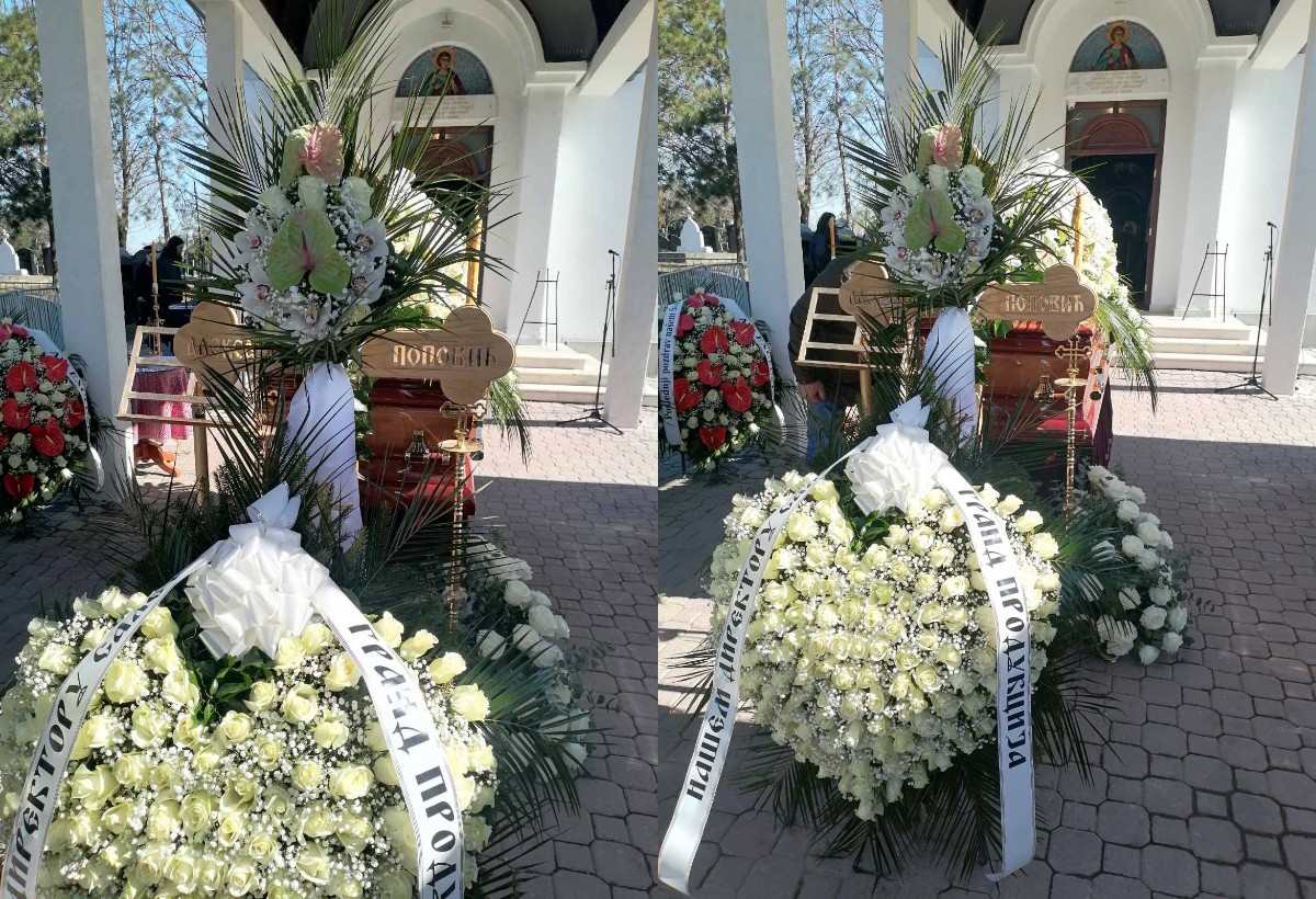 ipiccy image 2025 03 06T115439.452