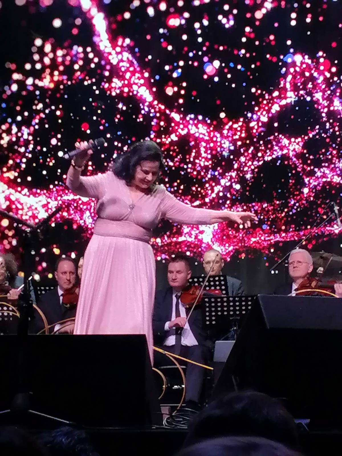 Otkrivena tajna pesme 'Topolska 18', evo ko je živeo na toj adresi 6 snezana savic 2