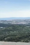 uis
