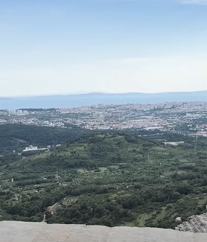 uis