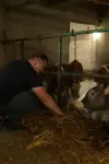 Sidik sabanovic farma