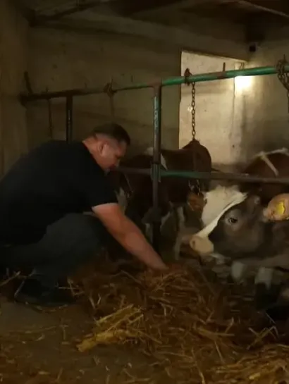 Sidik sabanovic farma