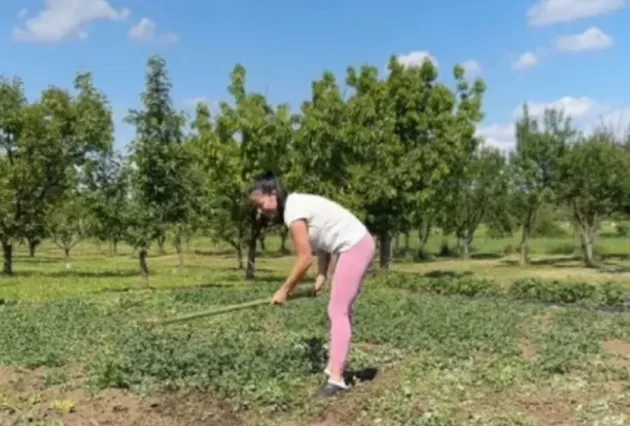 lazic katarina 830x0 1