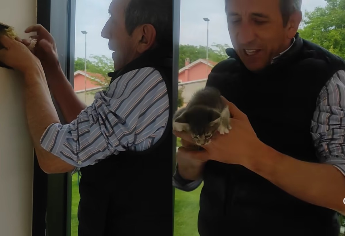 Žika Jakšić u akciji spašavanja - Pogledajte video koji je raznežio sve (VIDEO) 5 zika jaksic