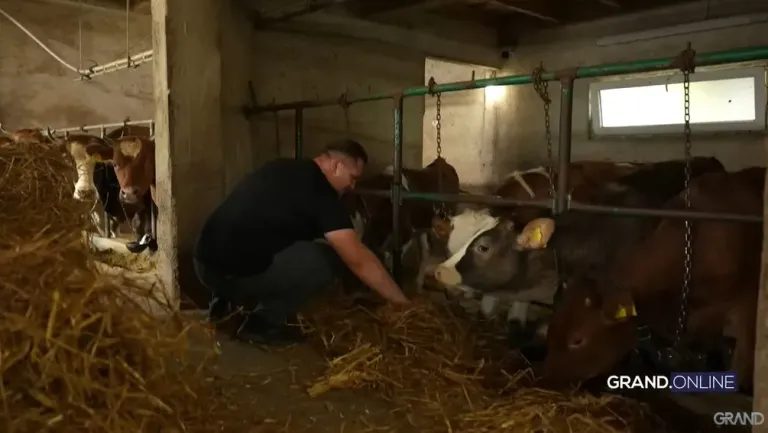 Sidik Šabanović prvi put progovorio o ćerkici: "Kada se sin rodio, bilo je dosta drugačije" VIDEO 10 image 16