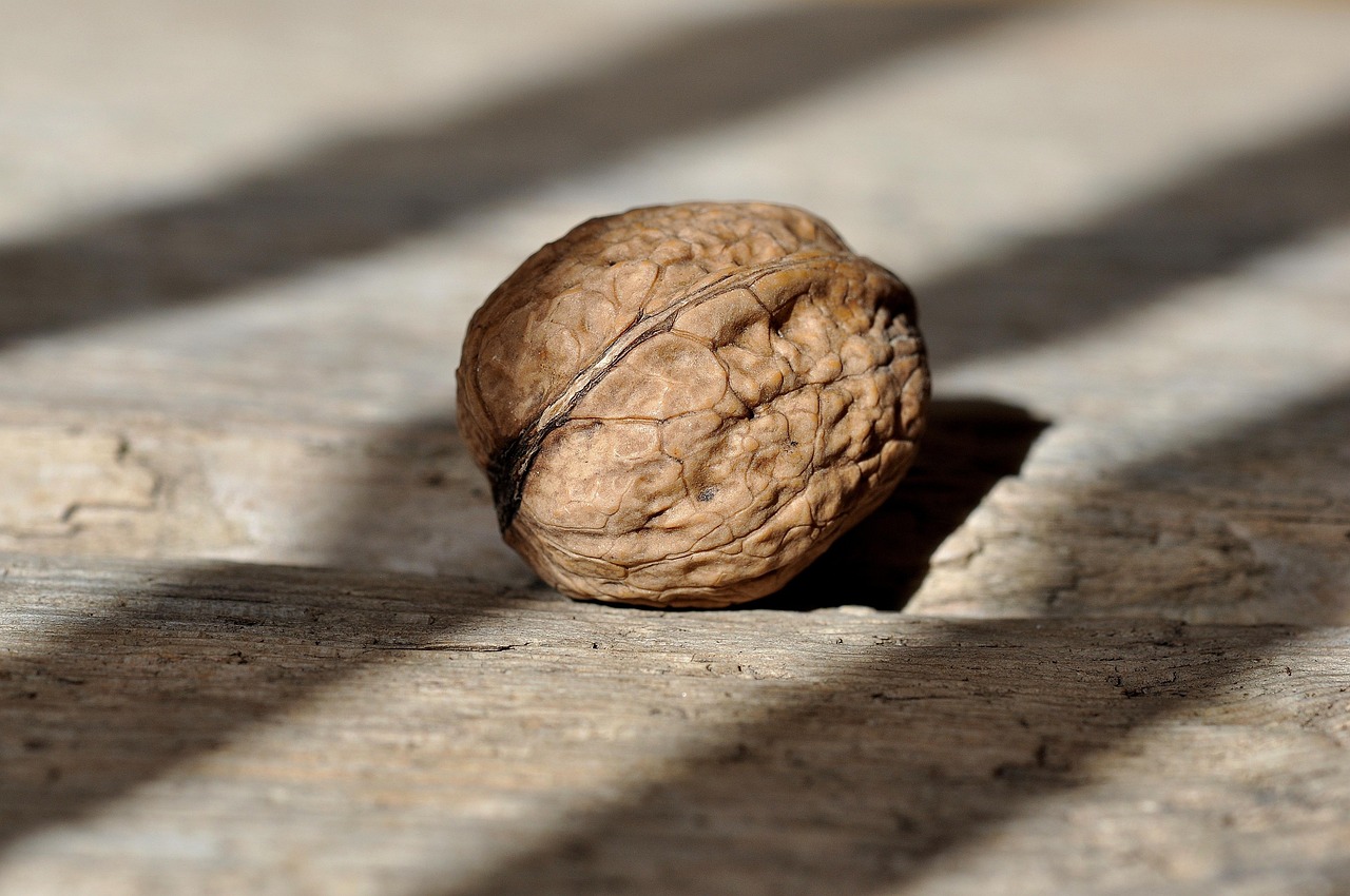 Ovu namirnicu jedite pred spavanje i gledajte kako vam salo nestaje 6 walnut 658569 1280