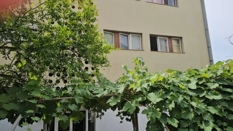 Tragovima pevačeve prošlosti u Herceg Novom: Ovde je odrastao Vlado Georgiev VIDEO 6 IMG 20240806 WA0027 768x432 1