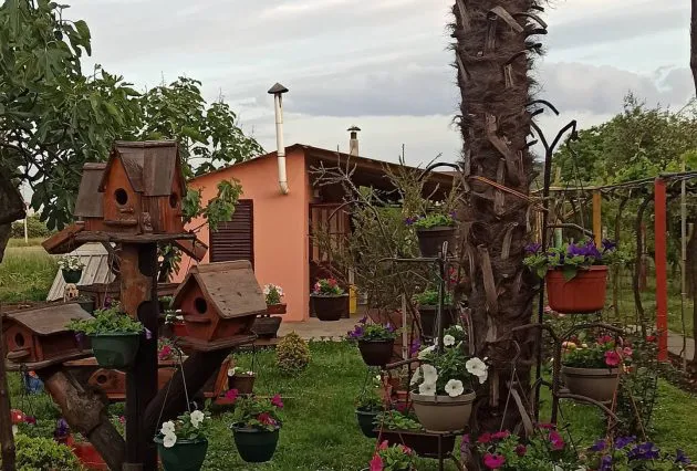 Mesto za koje javnost ne zna: Pevač poseduje raskošno imanje, pokrenuo i prizvodnju vina (FOTO) 5 IMG 80ec9ff3120d4ceb297565bf8e23fb7f V 1 630x426 1