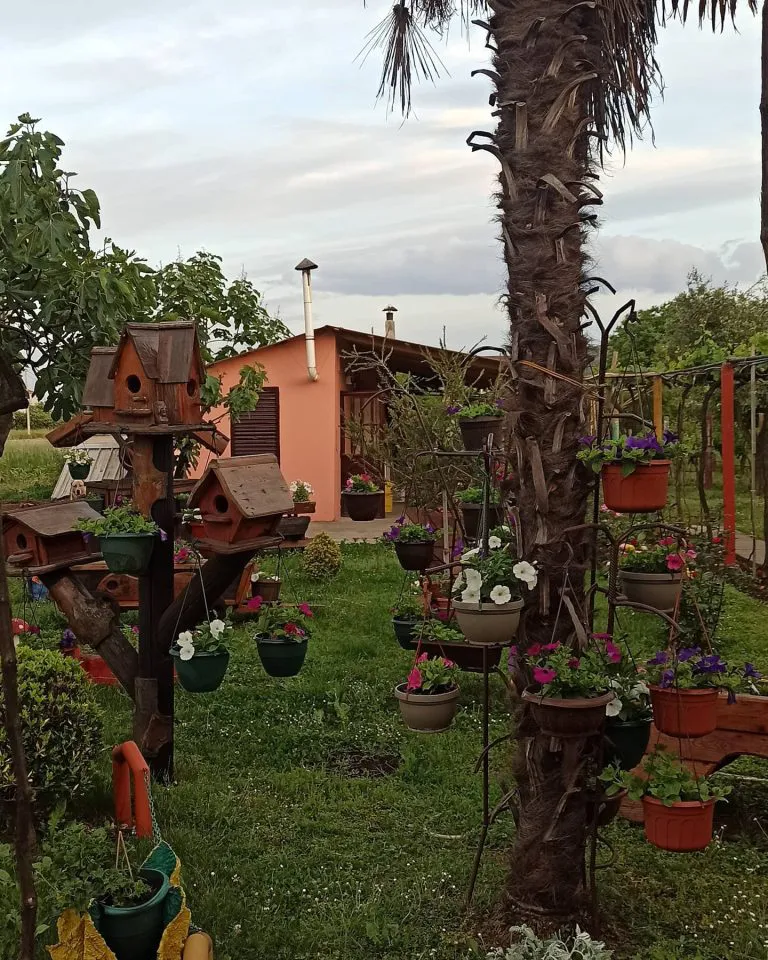 Mesto za koje javnost ne zna: Pevač poseduje raskošno imanje, pokrenuo i prizvodnju vina (FOTO) 7 IMG 80ec9ff3120d4ceb297565bf8e23fb7f V 768x960 1