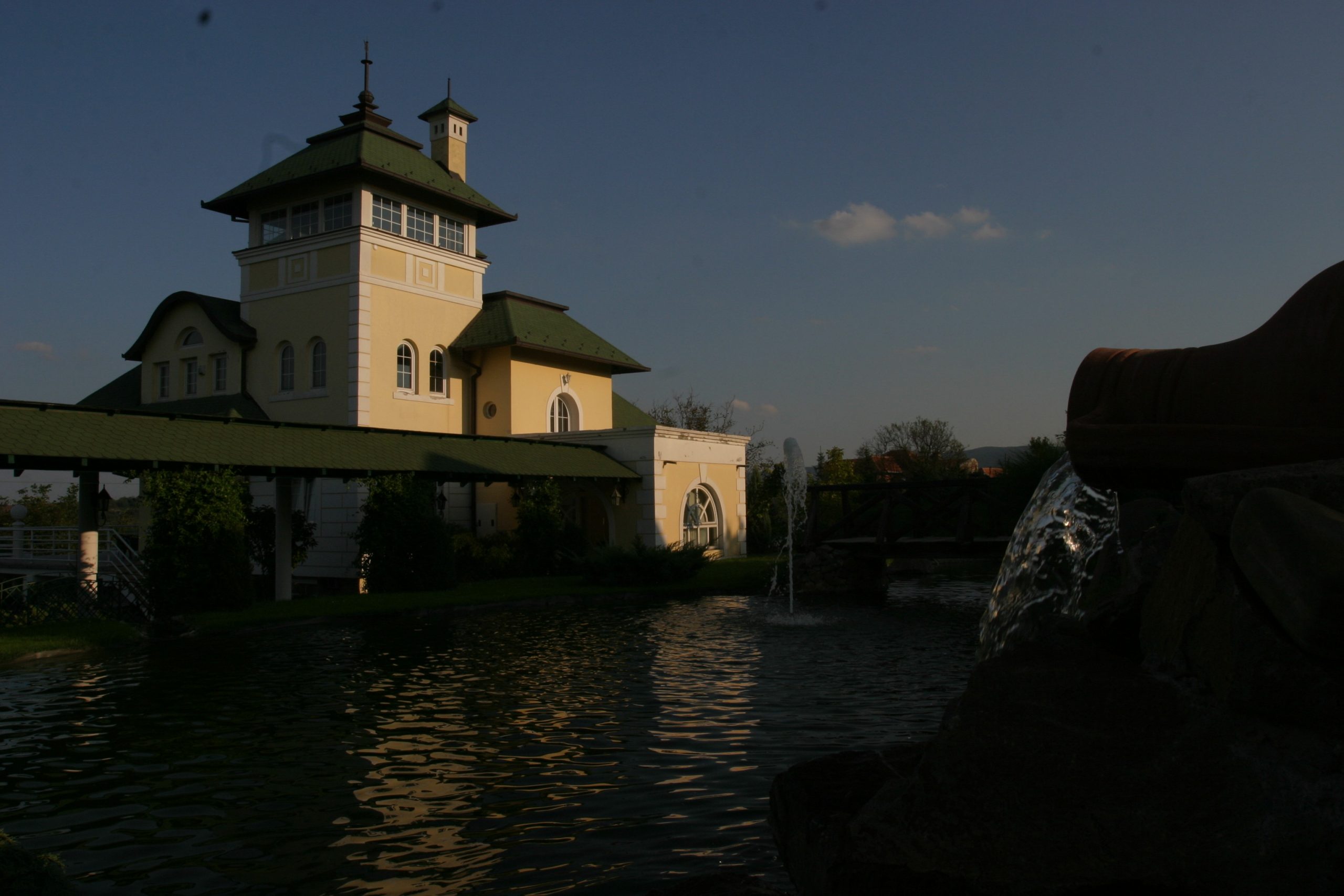 Naš pevač čuvao ovce, sad živi u dvorcu: Imao je čak i jezero u kući, pa je prodao