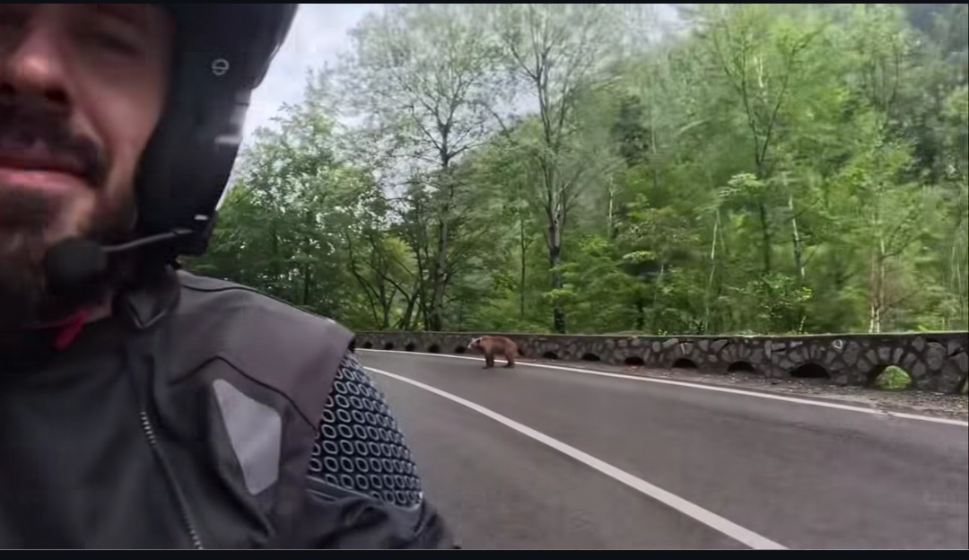 Marko Rokvić šokirao snimkom sa puta, ljudi u neverici: "Moj medvede, evo pada veče, a gde si ti..." VIDEO 7 Marko Rokvic 3