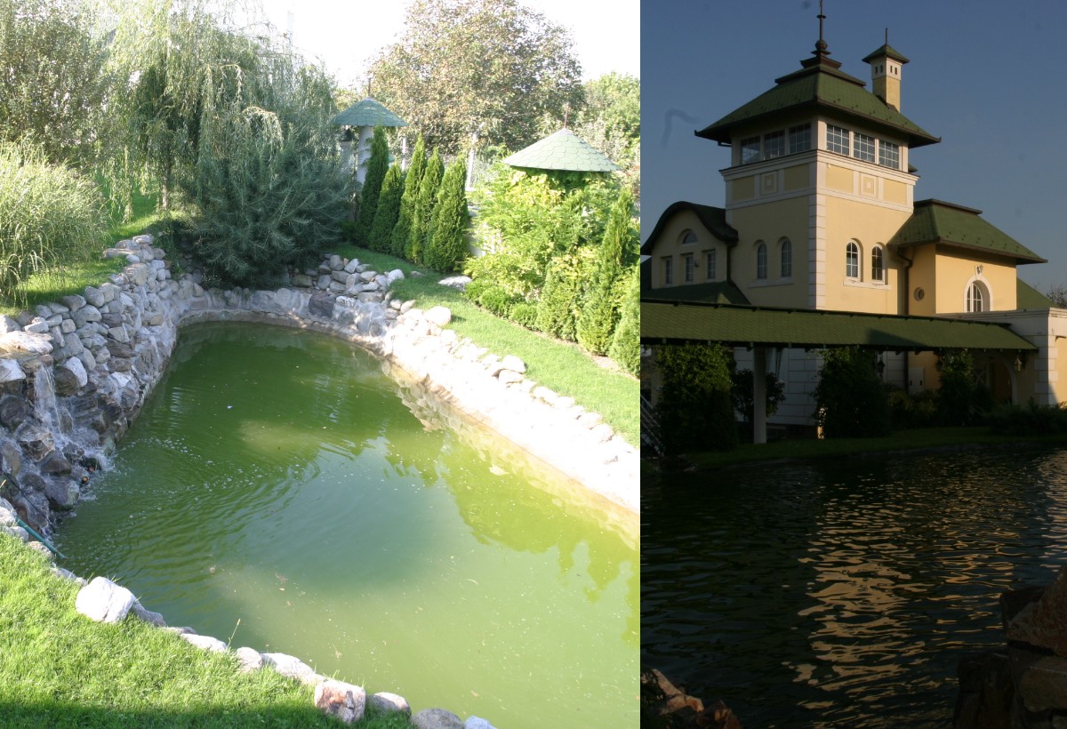 Naš pevač čuvao ovce, sad živi u dvorcu: Imao je čak i jezero u kući, pa je prodao 5 milos bojanic dvorac