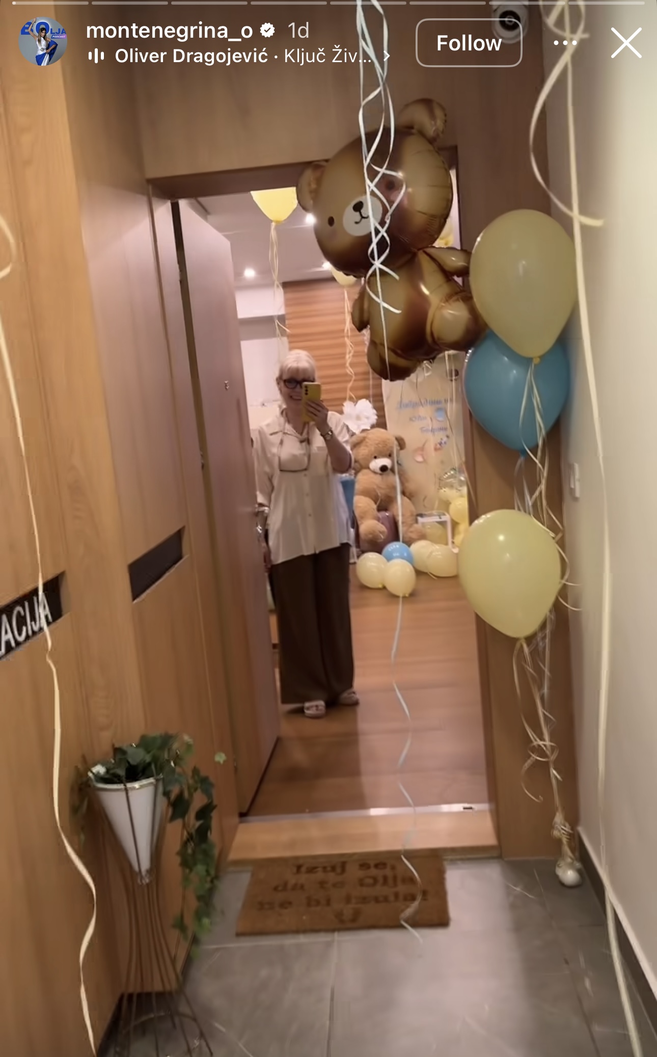 Olja Crnogorac pokazala dom posle porođaja: Plava kolevka za sina Bogdana, a kućni ljubimci u šoku VIDEO 7 IMG 0459
