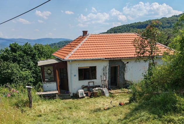 dinca e1754137644804