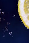 lemons 2539163 1280