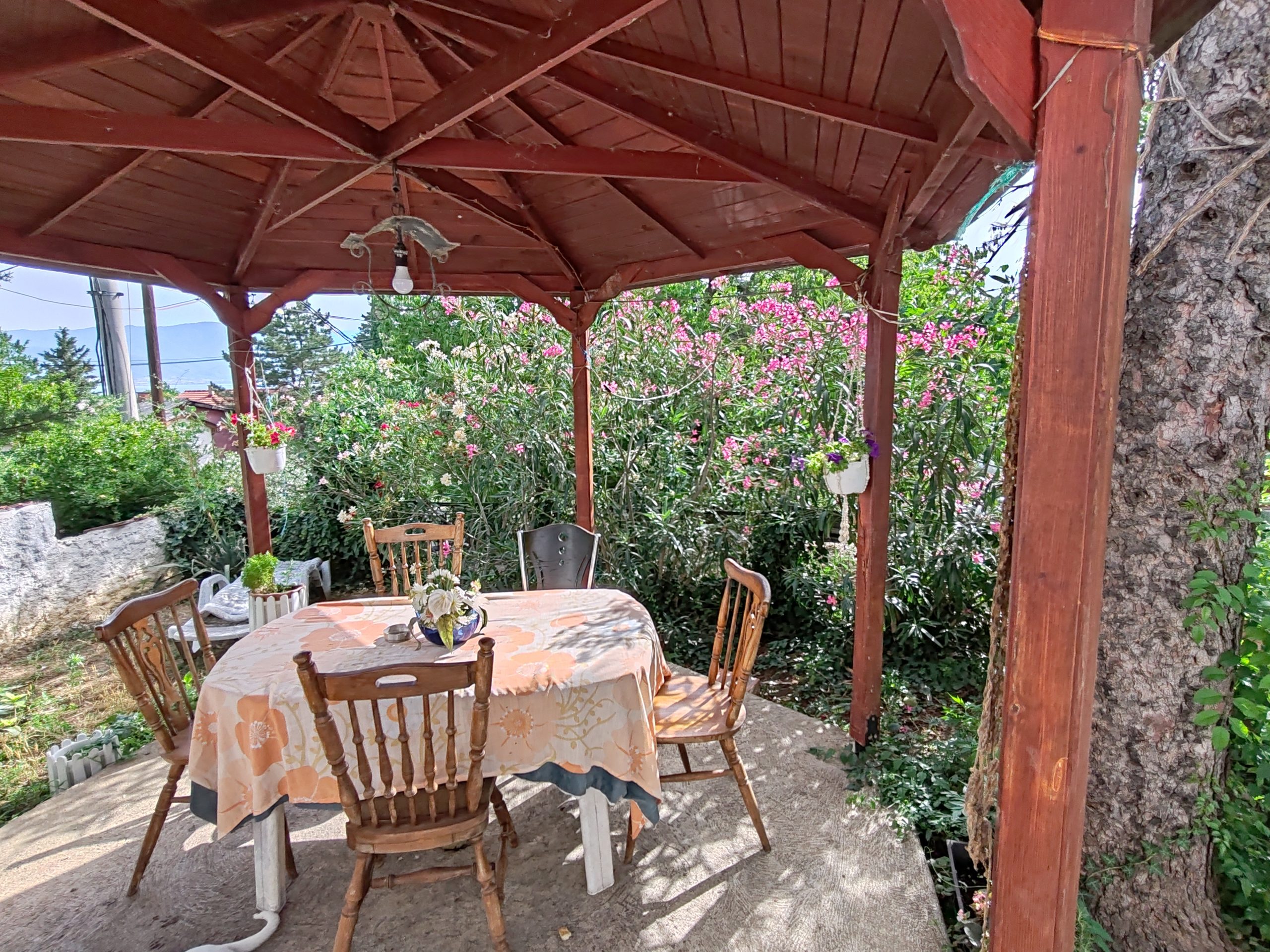 Dobrila Čabrić pokazala eliksir koji sama pravi u Dojranu: "Mnogi padaju u depresiju već u 70-oj" 6 IMG 20240702 082648