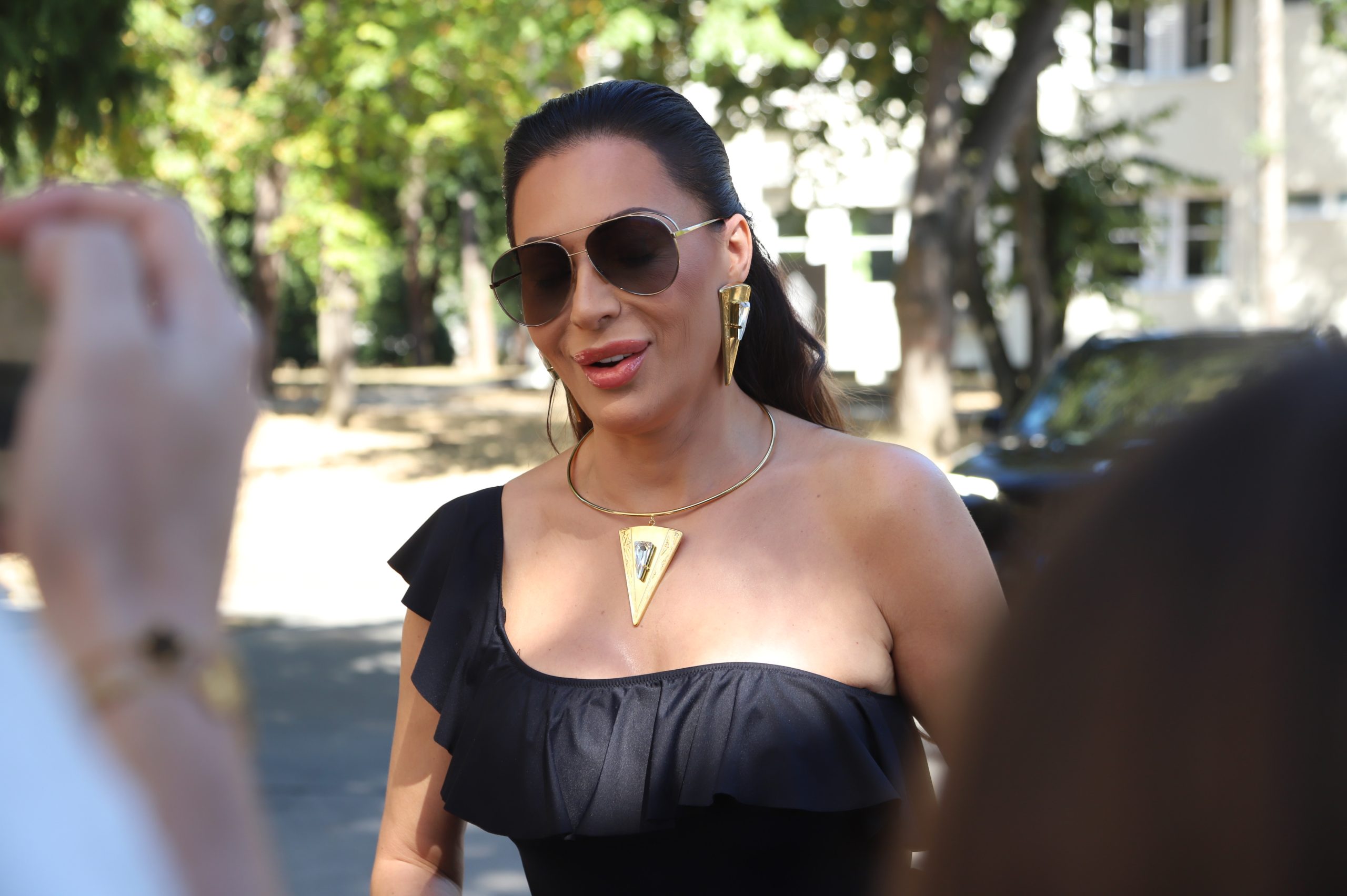 Ceca otkrila koga bi volela da vidi u žiriju Zvezda Granda: "Ona nije potpisala ugovor nigde" VIDEO 7 ceca 1 1
