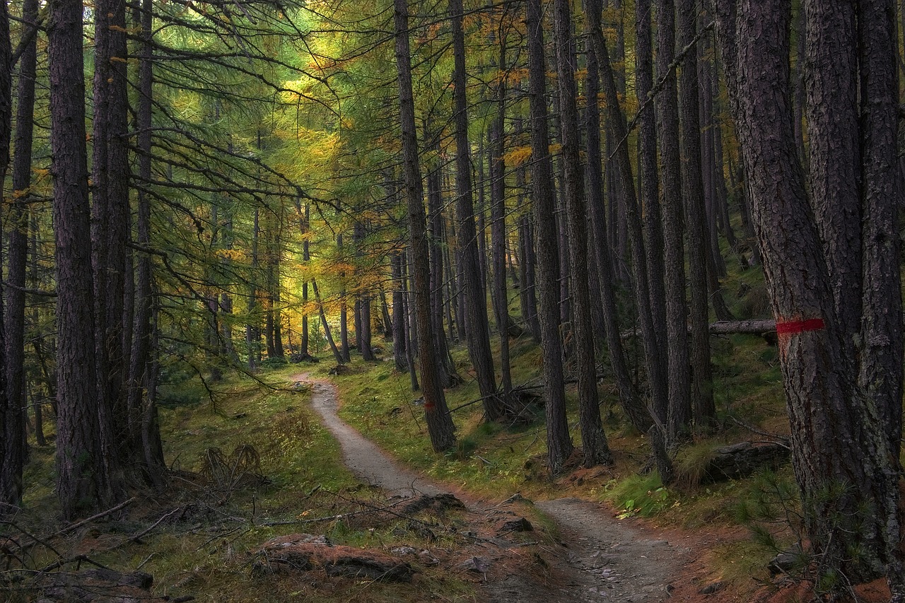 trail 5726987 1280