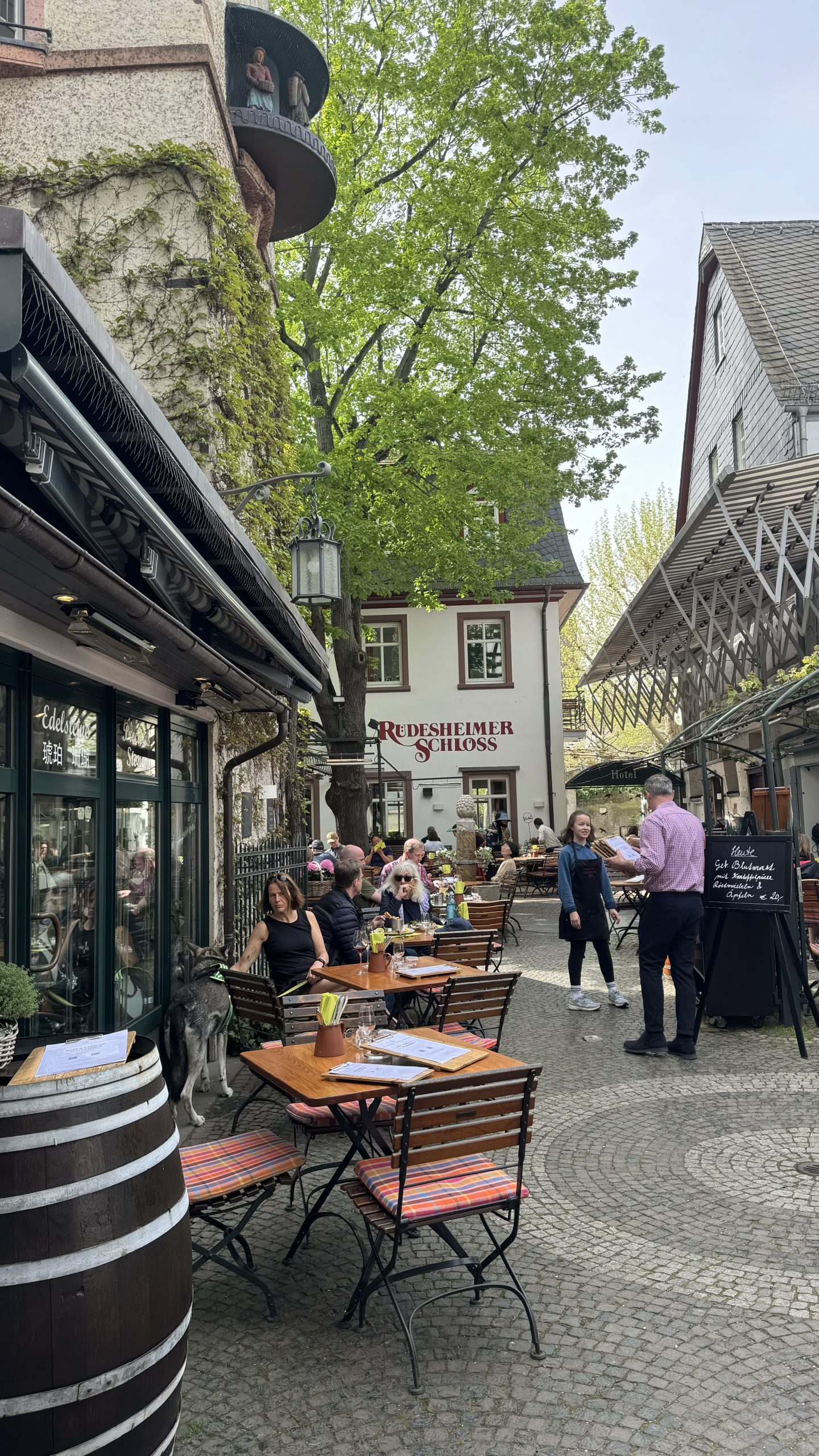 Horoskop otkriva istinu: U ovoj državi biste bili najsrećniji 8 IMG 1366