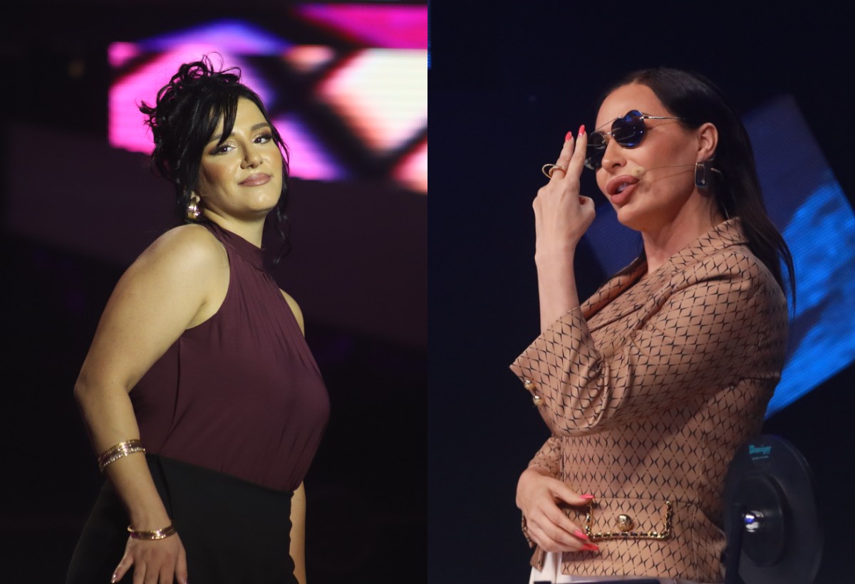 ceca dala panik taster