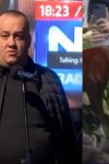 dino beslic sin halida beslica 1