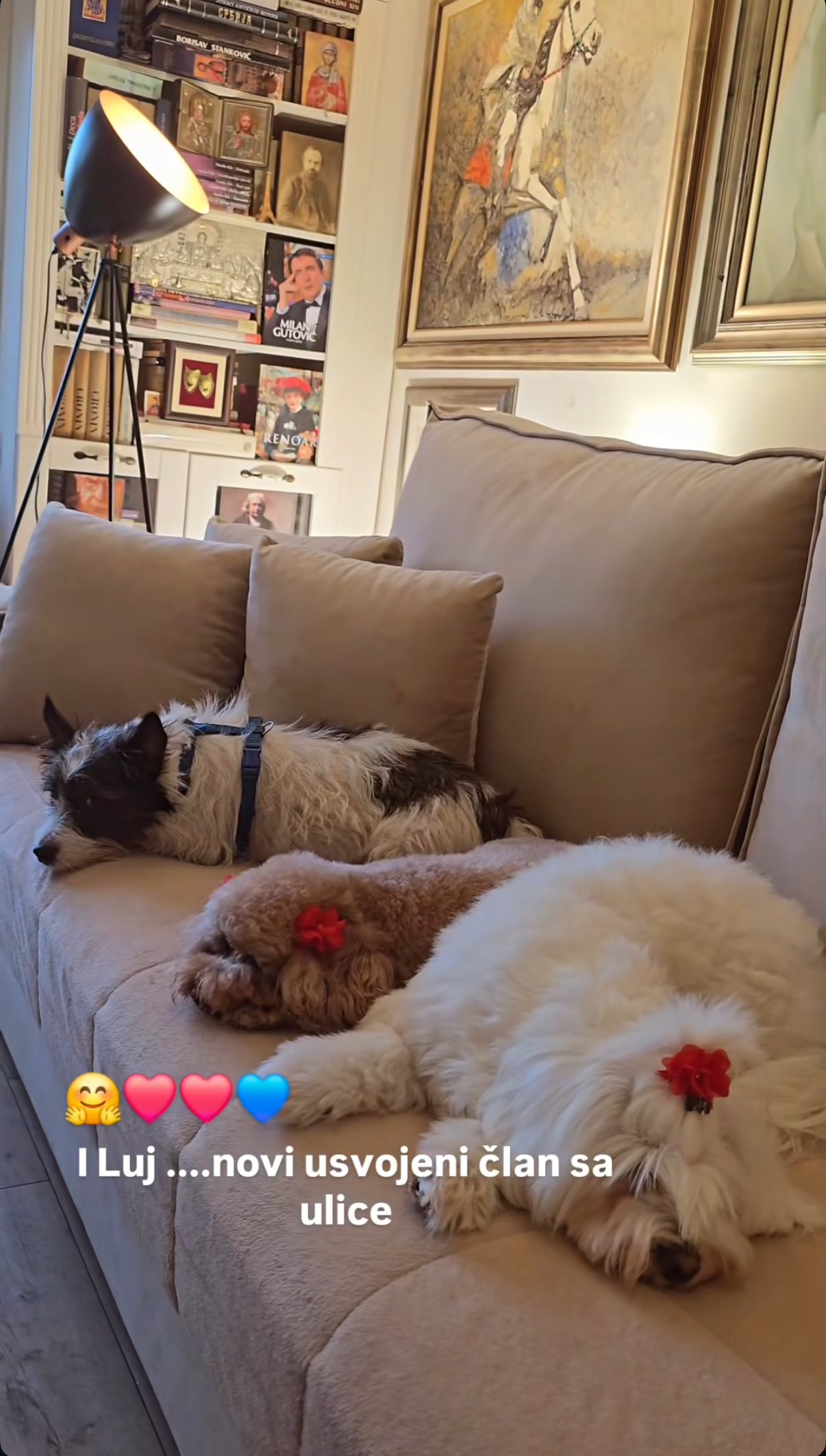 Vila naše glumice u Beogradu izgleda kao iz bajke: Kamin i klavir su samo deo luksuza VIDEO 6 kuca lidije vukicevic 2