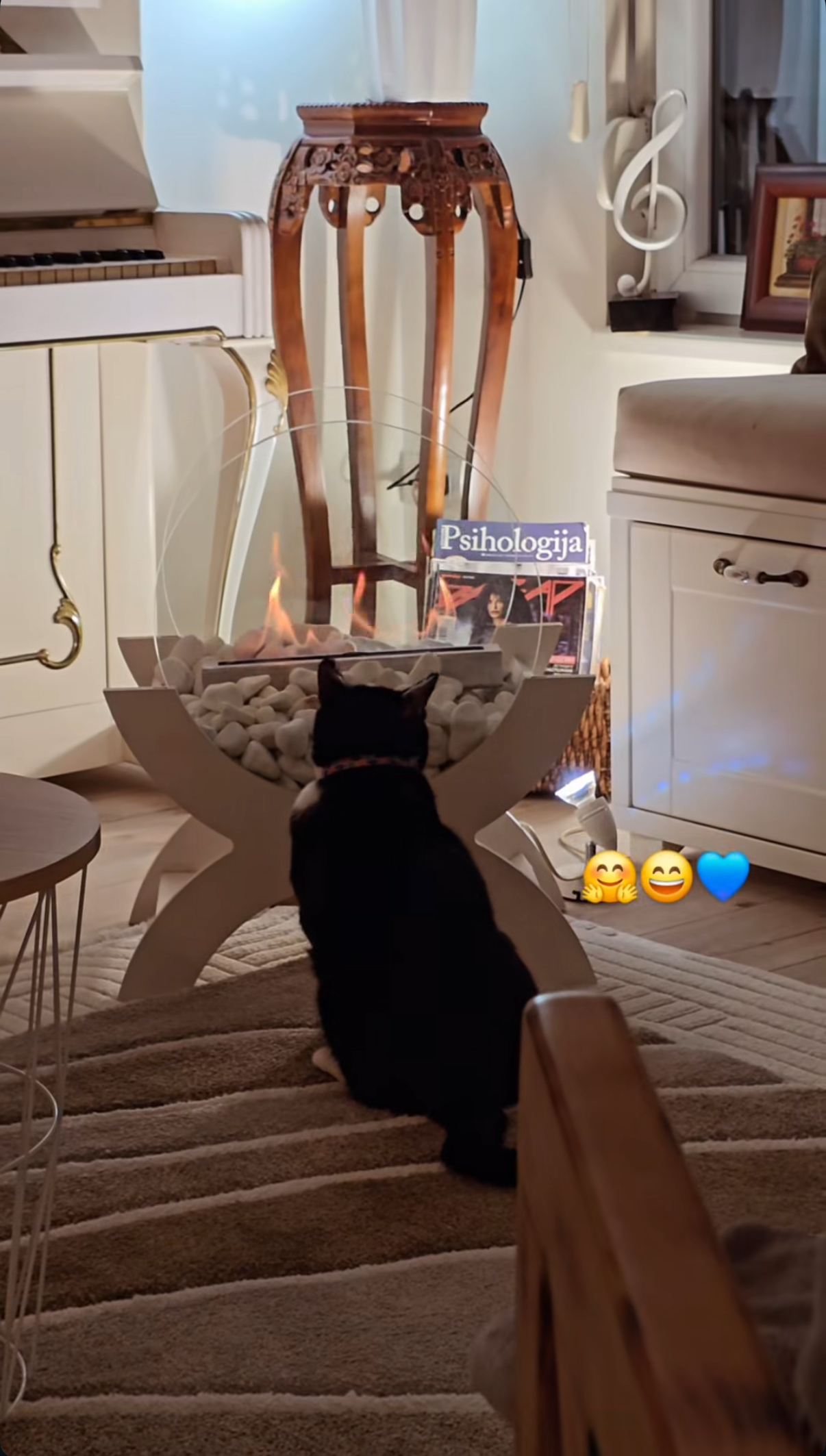 Vila naše glumice u Beogradu izgleda kao iz bajke: Kamin i klavir su samo deo luksuza VIDEO 8 kuca lidije vukicevic 4