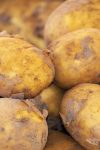 potato 3440360 1280