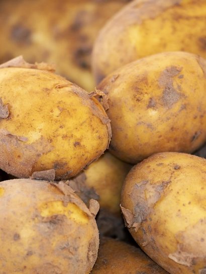 potato 3440360 1280