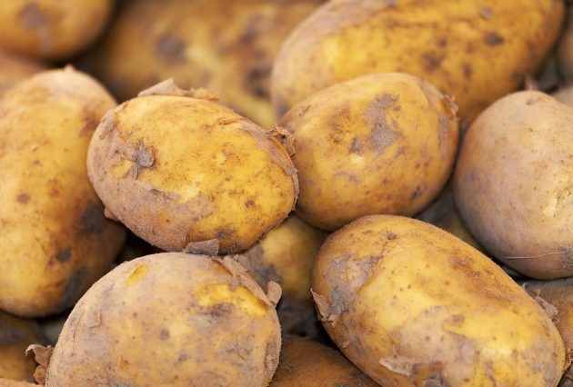 potato 3440360 1280