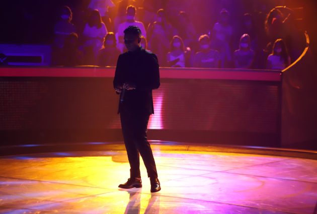scena zg 8