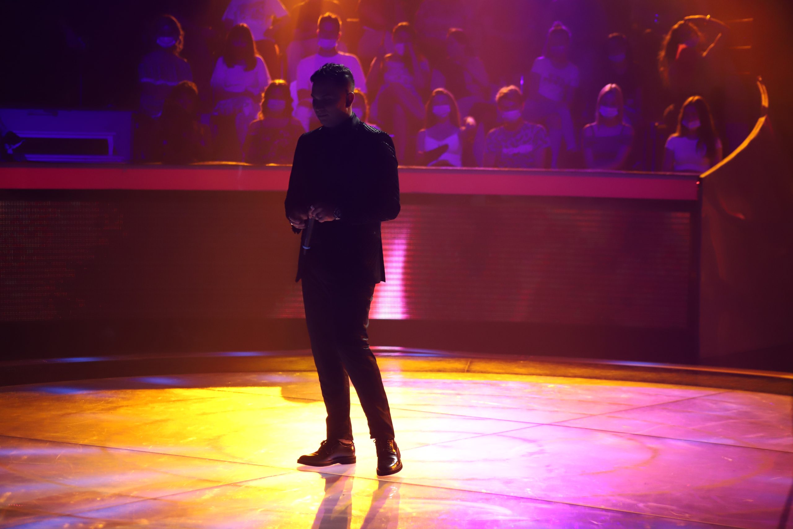 scena zg 8