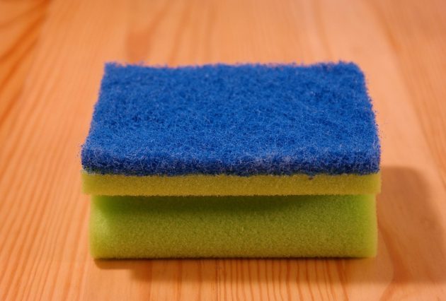 sponge 231922 1280