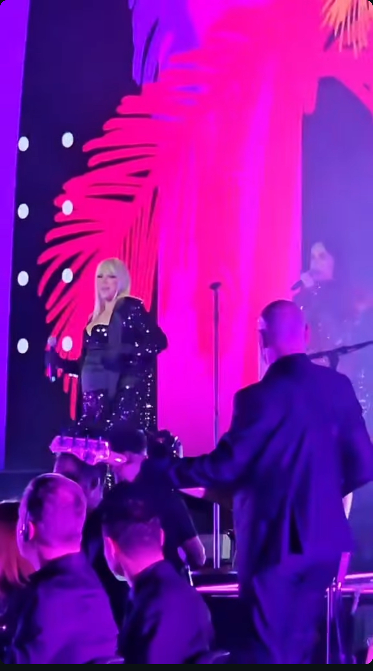 Prvi nastup trudne Milice Todorović: Pevačica se pojavila na koncertu, pa se obratila publici VIDEO 5 IMG 2985